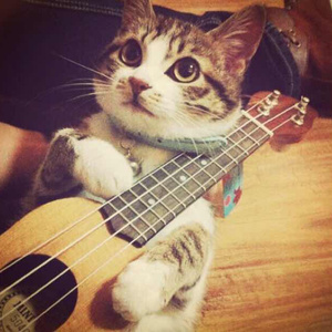 石川澪在线观看
